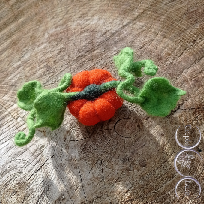 Broche/Pince à cheveux Citrouille