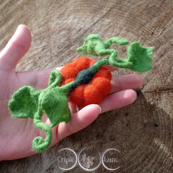 Broche/Pince à cheveux Citrouille