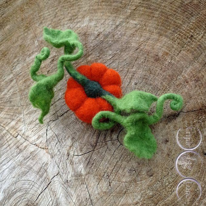 Broche/Pince à cheveux Citrouille